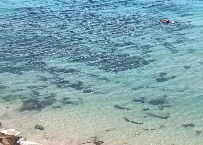 Hébergement de vacances Entrecalas 3 Piscina Privada Conil, Roche Viejo, Cala Del Aceite Conil De La Frontera